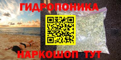 СК Кимры