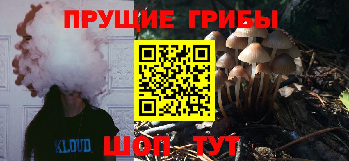 Галлюциногенные грибы Psilocybine cubensis  Псилоцибиновые грибы ЛСД  Ейск  Вход с VPN 